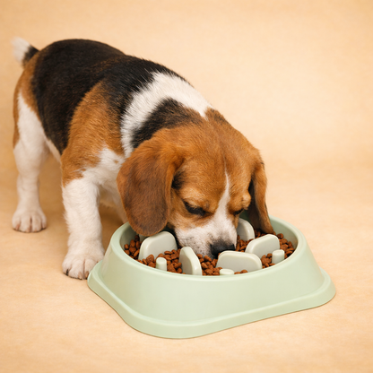 Slow Feeder Dog Bowl – Anti-Choking & Healthier Eating