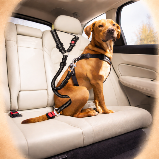 Adjustable Dog Car Seat Belt – Safe & Secure Travel