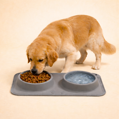 2-in-1 Slow Feeder Bowl Mat – Less Mess, Healthier Meals