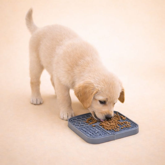 Lick Mat – Calm & Slow Feed Your Dog